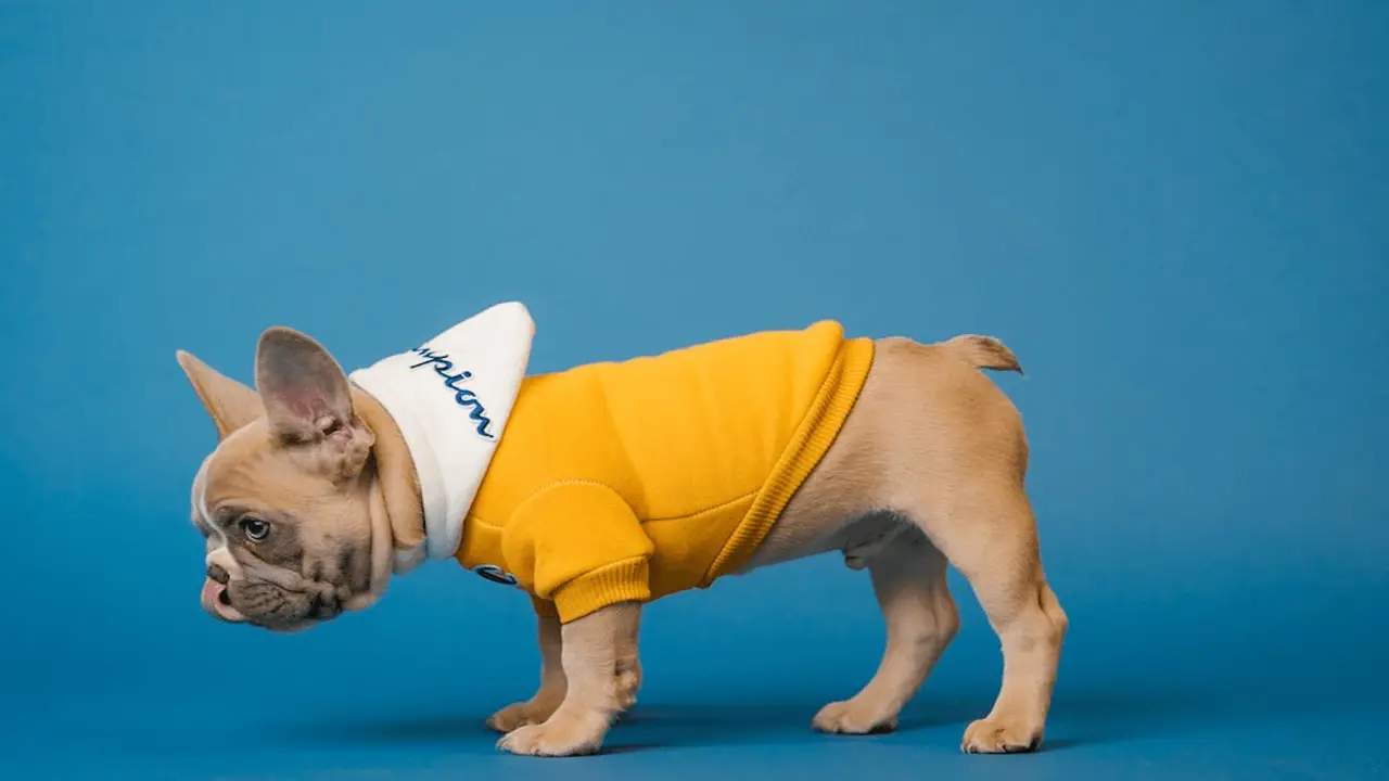 Petco food return policy